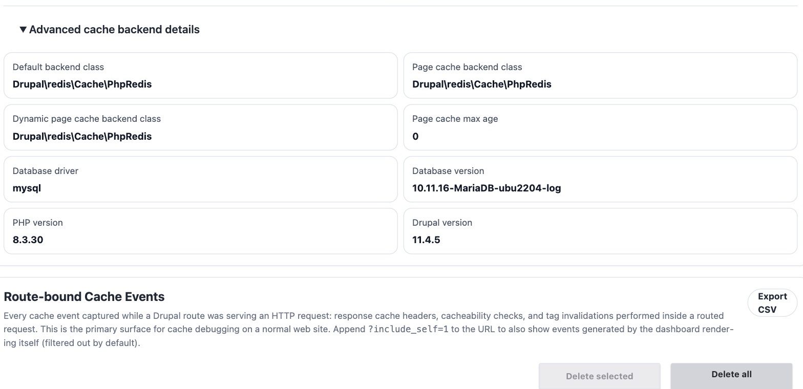 Cache tab showing the database driver and version read from the live connection